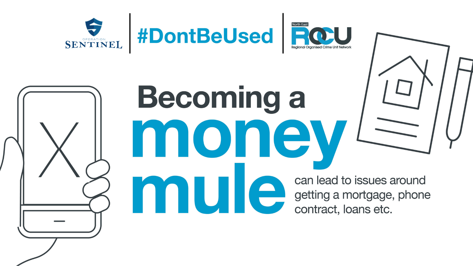 Graphic saying money mule