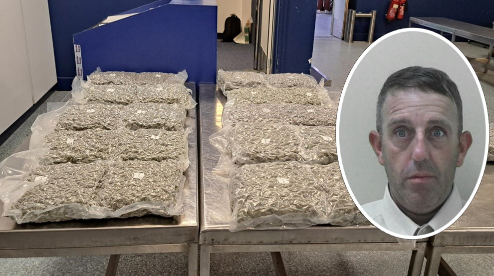 Harris mugshot and image of seized cannabis