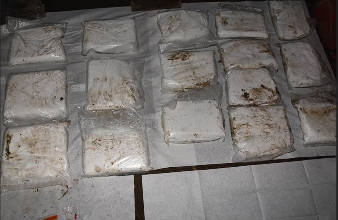 Photo of the seized drugs