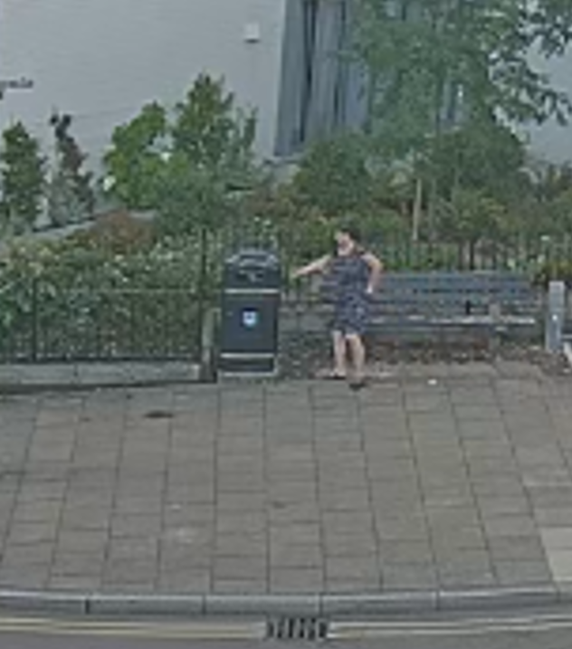 CCTV image of Hopkins depositing sex litter in Ely.png