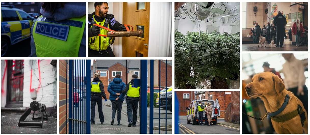 Collage of photos including police dog, cannabis farm, people being arrested and doors being knocked through.